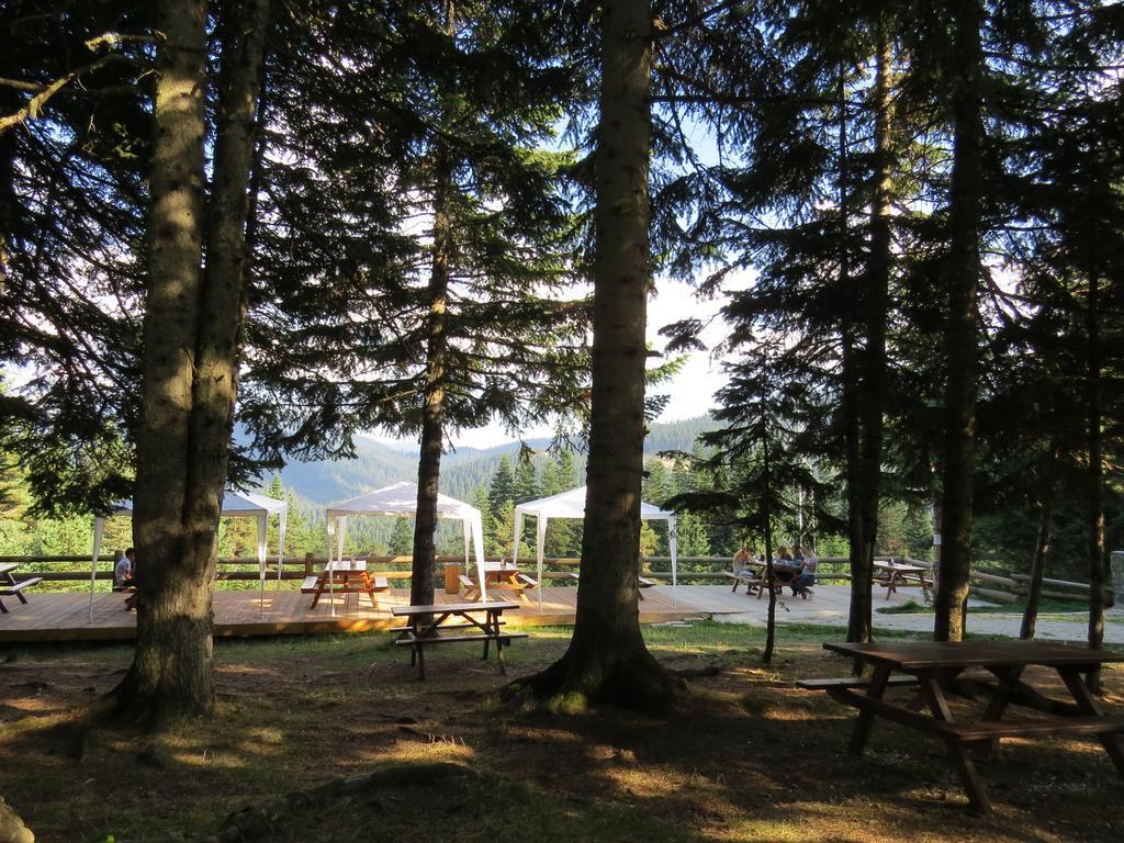 Jura Hotels Ilgaz Mountain Resort Экстерьер фото