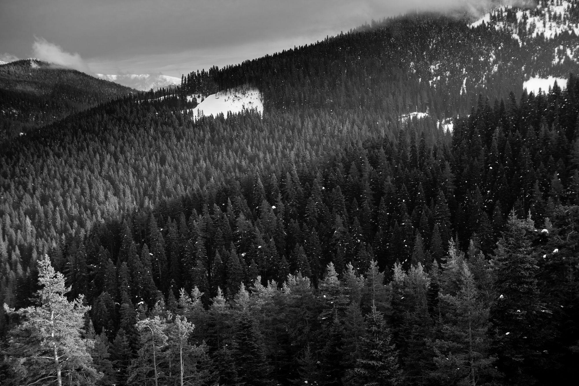 Jura Hotels Ilgaz Mountain Resort Экстерьер фото